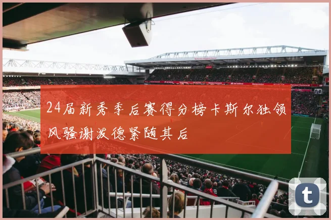 24届新秀季后赛得分榜卡斯尔独领风骚谢泼德紧随其后